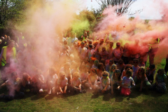 Brownies Color Run