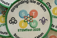 STEMfest