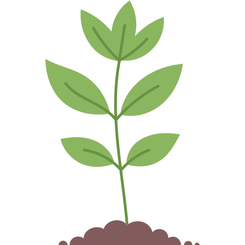 growth